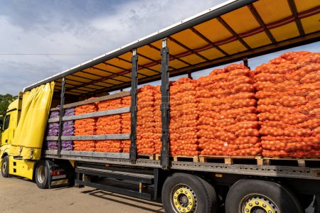Téléchargez les photos : Truck Loaded With Pallets of Fresh Red and Yellow Onion for Distribution To Market. Onion Harvest Campaign. Preparing Packages of Red and Yellow Onion for shipping. Postharvest Handling Of Vegetables. Transport and Logistics. - en image libre de droit