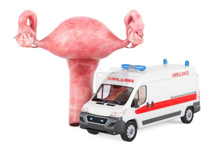 Photo for Uterus with ambulance van. First Medical Aid and Treatment of uterus concept, 3D rendering isolated on white background - Royalty Free Image