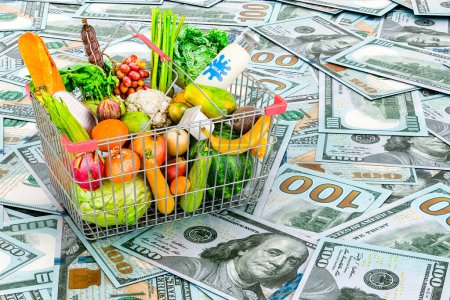 Shopping basket full of products  on the dollars backdrop, 3D rendering