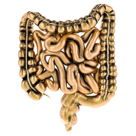 Téléchargez les photos : Golden Human intestins, rendu 3D isolé sur fond blanc - en image libre de droit