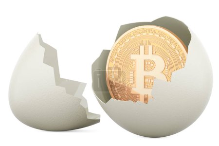 Foto de Bitcoin dentro de huevo de gallina roto, representación 3D aislado sobre fondo blanco - Imagen libre de derechos