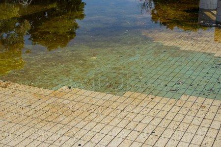 Photo for Abandoned swimming pool with dirty and stagnant water - Royalty Free Image