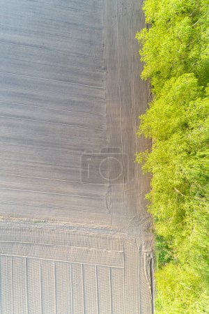 Drone-Ansicht eines gepflügten landwirtschaftlichen Feldes mit Bäumen am Feldrand, vertikale Ansicht