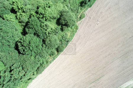 drone aerial view of a plowed farm field next to a forest