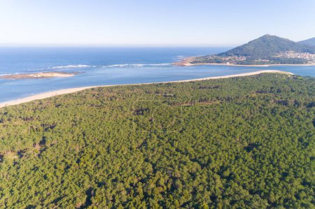 drone aerial view of the Mata do Camarido forest. Mouth of the Minho river and Santa Tegra mountain. Municipality of Caminha, Portugal.