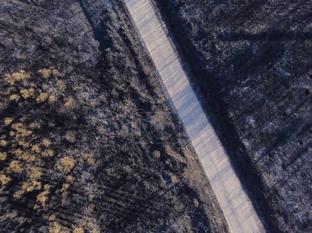 Aerial view of a burnt forest area, climate change concept