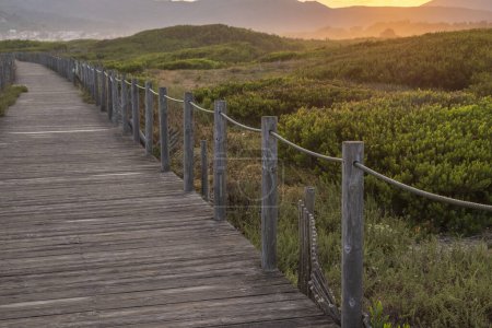 Wooden path to the beach on the dunes at sunrise, northern Portugal