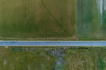 aerial view of a road and crop fields