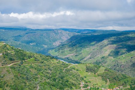 Landschaft der Schlucht des Flusses Sil in der Ribeira Sacra, bewölkter Tag. Galicien, Spanien.