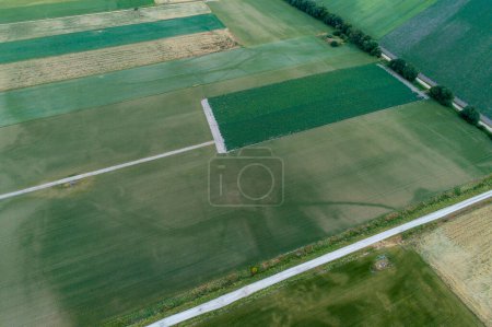 aerial view of different cereal crop fields