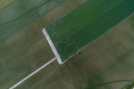 aerial view of fields of different cereal and potato crops