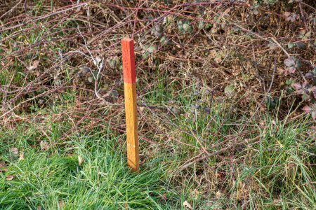 Wood survey stake painted in red for work on construction site