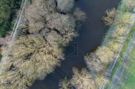 aerial view of a river in winter with the trees without leaves
