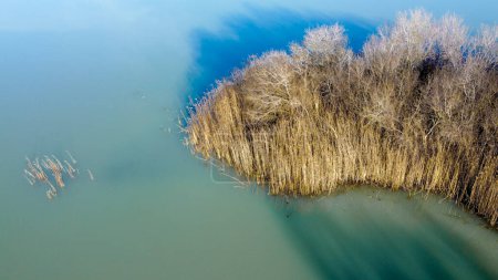 Luftaufnahme der Vegetation am Ufer einer türkisfarbenen Wasserlagune