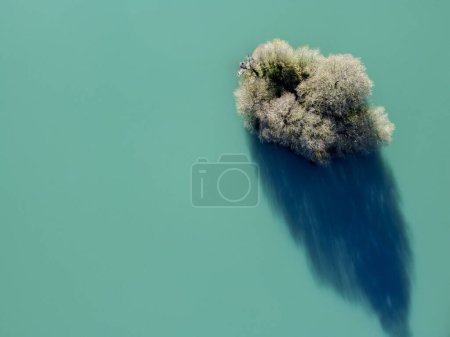 Luftaufnahme eines blattlosen Baumes in einer türkisfarbenen Wasserlagune