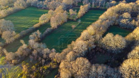 vista aérea del dron de una zona rural de prados y robles
