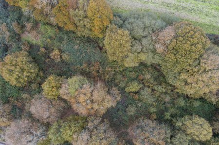 Photo for Zenithal aerial view with drone of a mountainside in autumn - Royalty Free Image