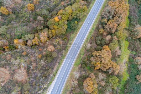 vue aérienne d'une route rurale en automne