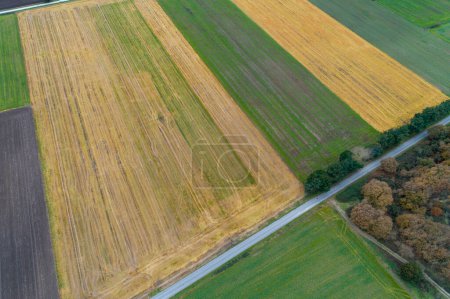 drone aerial view of yellow and green pain agricultural fields, Spain