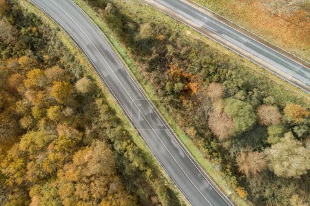 Luftaufnahme einer Straße und eines Waldes im Herbst, Herbstfarben