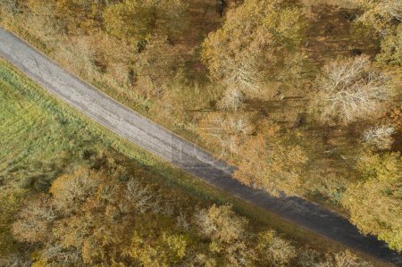 Luftaufnahme einer Straße und eines Waldes im Herbst, herbstliche Farben