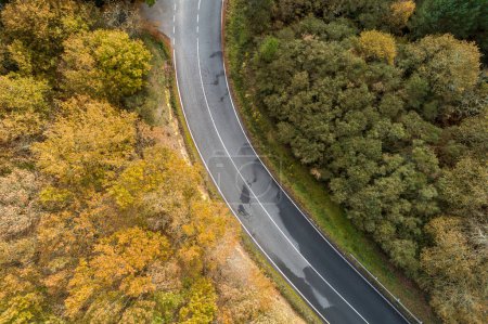 Luftaufnahme einer Straße und eines Eichenwaldes im Herbst