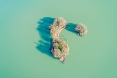 Luftaufnahme einer kleinen Insel in einer grünen Wasserlagune