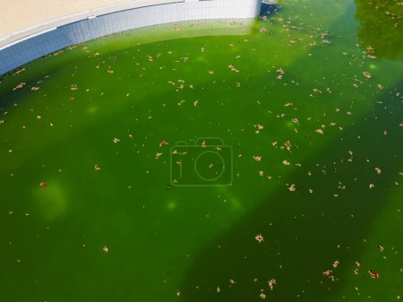 Luftaufnahme eines Schwimmbeckens mit stehendem Wasser