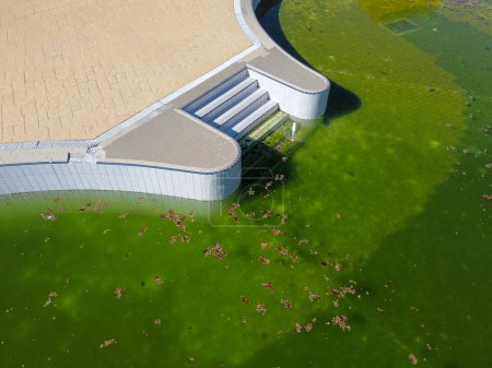 Drohnenaufnahme eines Swimmingpools mit grünem Wasser im Herbst