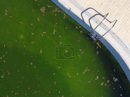 drone aerial view of a swimming pool with green water in autumn