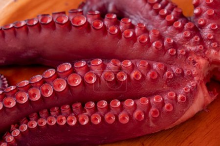 Photo for Octopus tentacles cooked in the Galician style, pulpo a feira - Royalty Free Image