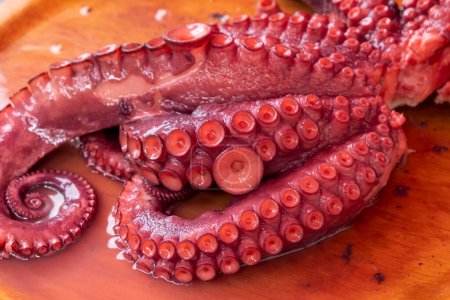 Photo for Octopus tentacles cooked in the Galician style, pulpo a feira. Spanish food - Royalty Free Image