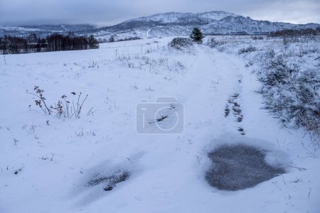 Snowy landscape, snow-covered country road in the mountains