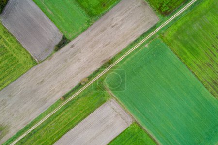 drone aerial view of some autumn crop fields
