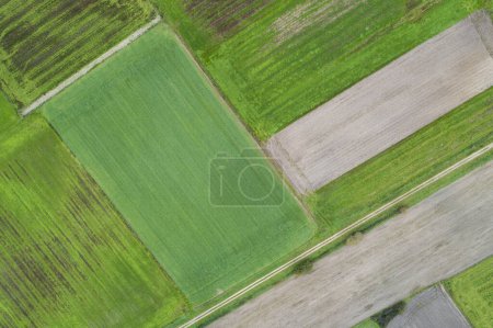 aerial view of some autumn crop fields