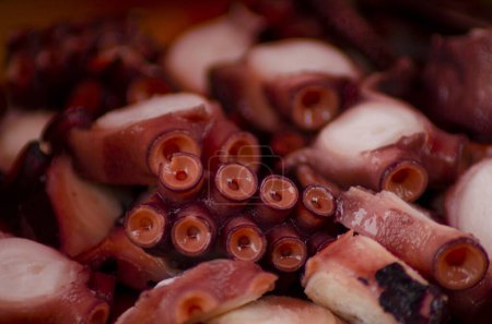 Detail einer Portion Oktopus, gekocht im galicischen Stil, pulpo a feira