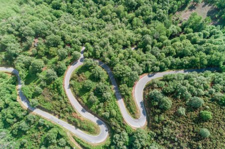 winding road on a mountain with oak forest, aerial drone top view
