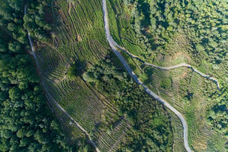 Aerial view with drone of mountain road curves
