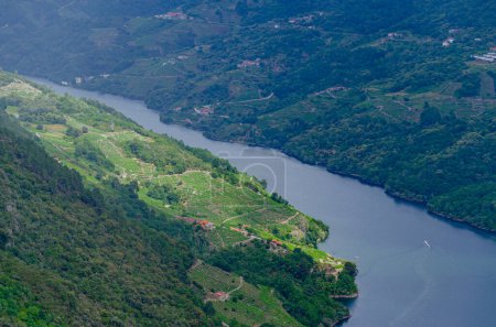 touristic cruise sailing along the Sil river canyon, aerial view with drone Ribeira Sacra.
