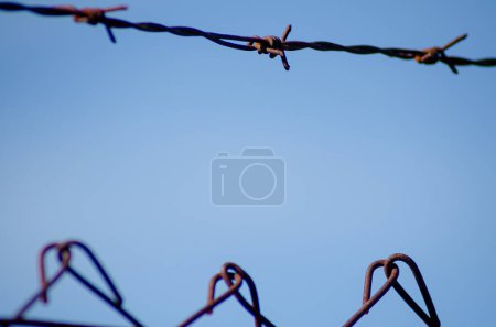detalle de la cerca de alambre de púas, alambre de púas de metal sobre un fondo de cielo azul claro, primer plano.