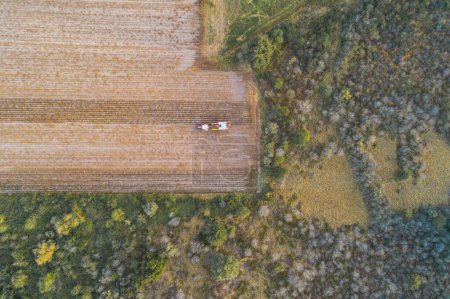 Overhead drone view. Potato Harvester with a tractor. Seasonal harvesting of potatoes.
