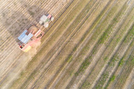 Directly above drone view. Potato Harvester with a tractor. Seasonal harvesting of potatoes.