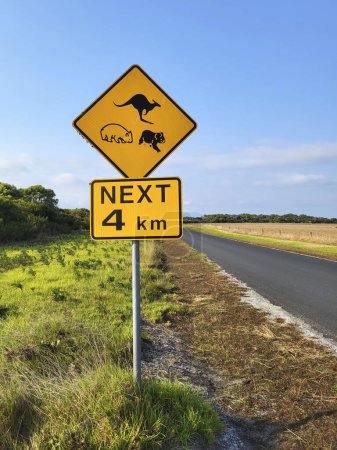 Téléchargez les photos : Panneau de signalisation australien sur Wilsons Promontory. kangourous, koalas et wombats pour les prochains 4kms. - en image libre de droit