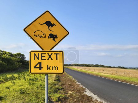 Téléchargez les photos : Panneau de signalisation australien sur Wilsons Promontory. kangourous, koalas et wombats pour les prochains 4kms. - en image libre de droit