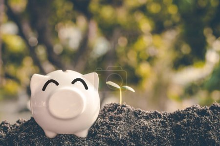 Foto de Ahorro de dinero en el banco de cerdos para uso futuro, Concepto de ahorro de dinero para el futuro. - Imagen libre de derechos