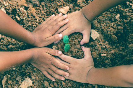 Die Hände der Kinder arbeiten zusammen, um Wälder wieder der Natur anzubauen, Wildpflanzenkonzept.