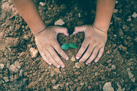 Foto de Las manos de los niños están colaborando para hacer crecer los bosques de nuevo a la naturaleza, concepto de plantas silvestres. - Imagen libre de derechos