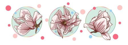 Photo for Set of cards with magnolia and lotus flowers isolated in a turquoise circle on a white background with colorful dots. green leaves, open buds, closed buds, pink and purple flowers. vector illustration - Royalty Free Image