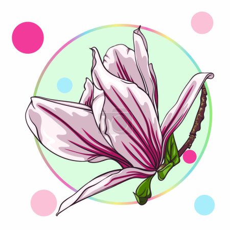 Photo for Pink magnolia flower, isolated in a turquoise circle on a white background with colorful dots. green leaves, open buds, closed buds, pink flowers. vector illustration. abstraction - Royalty Free Image