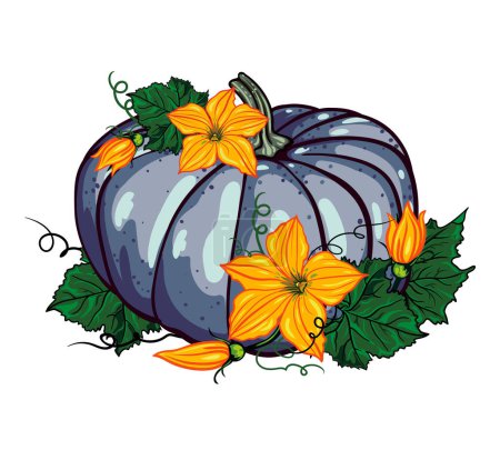 Photo for Blue pumpkin with green leaves and yellow flowers on a white background. autumn composition. Halloween. botanical vector illustration - Royalty Free Image